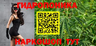 СК Пугачёв