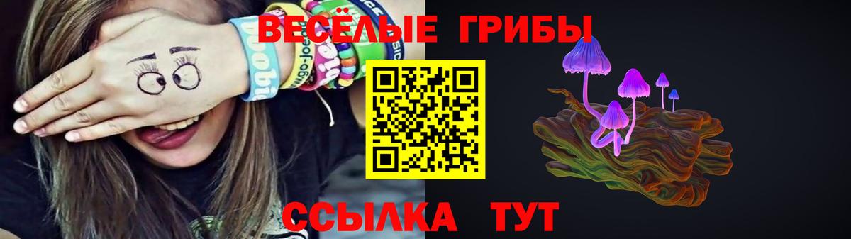 Галлюциногенные грибы мухоморы  купить  сайты  Галлюциногенные грибы мухоморы  Приморско-Ахтарск  Вход с VPN 